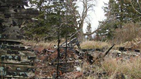 Death Farm - Colgan-Death-Farm20.jpg