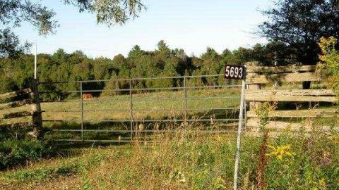 Down in the Hollow - Decker-Hollow-(ghost-town)3.jpg