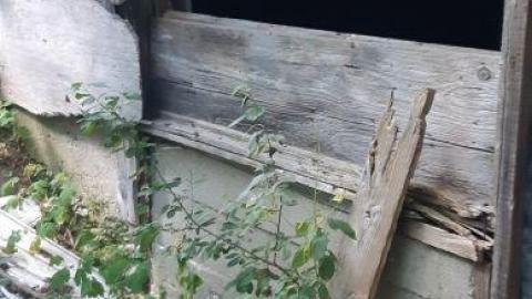 jackpot part 1 - 20200709_154702GZs.jpg