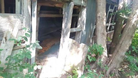 jackpot part 1 - 20200709_154559bqw.jpg