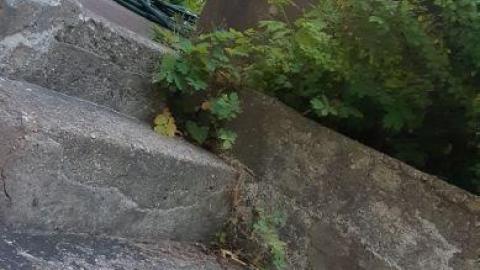 jackpot part 1 - 20200708_18384553K.jpg