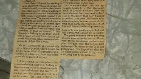 jackpot part 1 - 20200709_161127M4W.jpg