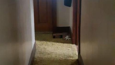 Jackpot Part 2 - 20200709_163535LNV.jpg