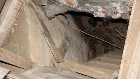 JaCkPoT pT3 - IMG_1601zeb.jpg