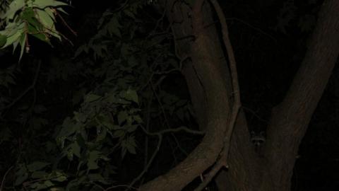 JaCkPoT pT3 - IMG_1856pV3.jpg