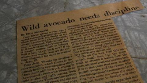 JaCkPoT pT3 - IMG_1862Fc9.jpg