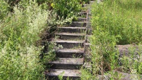 Concrete JUNGLE - IMG_1293ZK8.jpg