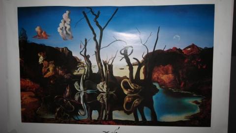 Faking It In A Storm - IMG_2010j0b.jpg