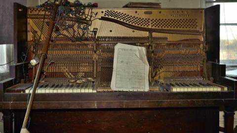 Feb 2016 - 009SyL.jpg