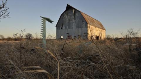 Feb 2016 - 014UvC.jpg