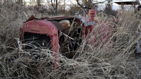 Feb 2016 - 016go6.jpg