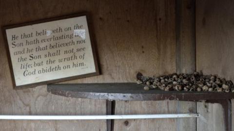 Feb 2016 - 018Lxu.jpg