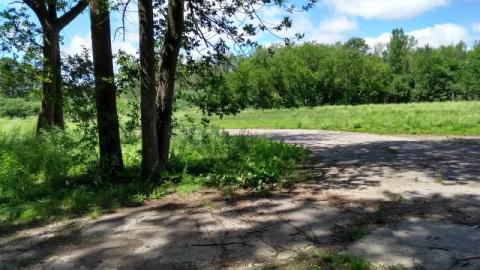 Marian Hall - Marian Hall 4 20200712qwt.jpg