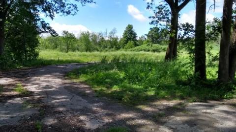 Marian Hall - Marian Hall 5 20200712mHQ.jpg