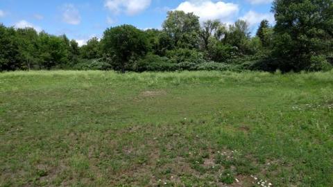 Marian Hall - Marian Hall 6 20200712Kvz.jpg