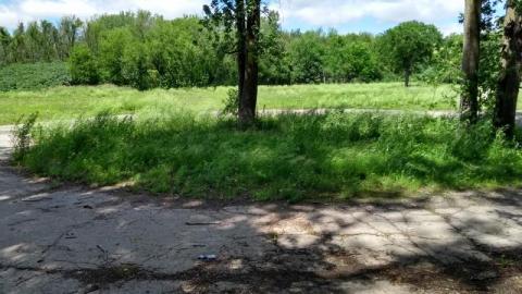 Photo from Marian Hall