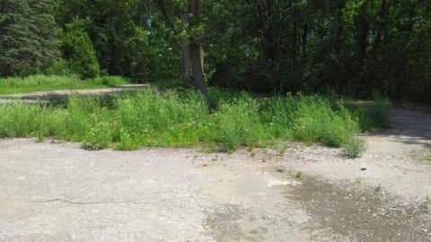 Marian Hall - Marian Hall 9 20200712Vxp.jpg