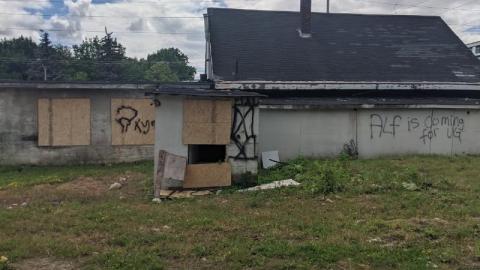 Photo from Day trip, poking my nose in