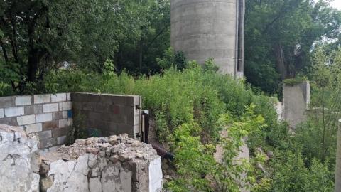 Day trip, poking my nose in - 11d7R.jpg