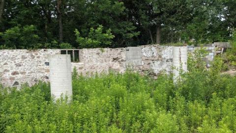 Photo from Day trip, poking my nose in