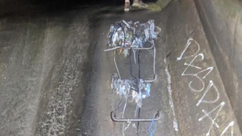 Looking for those turtles - 4tYt.jpg