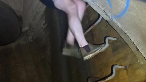 Looking for those turtles - 84Lb.jpg