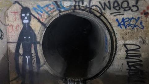 Looking for those turtles - 9Yma.jpg