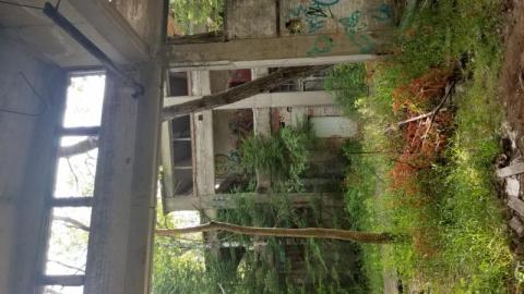 Donald ghost chemical plant - 20200713_175349nTF.jpg