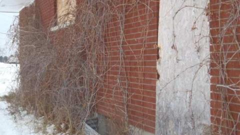 Little House - winter 009.jpg