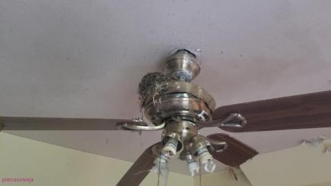 Photo from Quick Stop