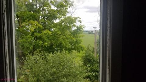 Quick Stop - DSC_0060Ska.jpg