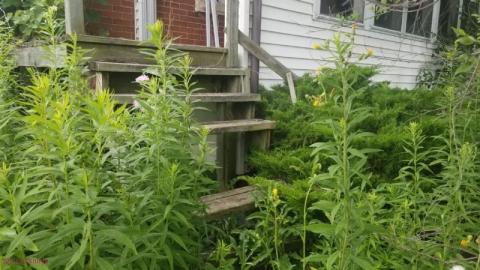 Quick Stop - DSC_0063rwp.jpg