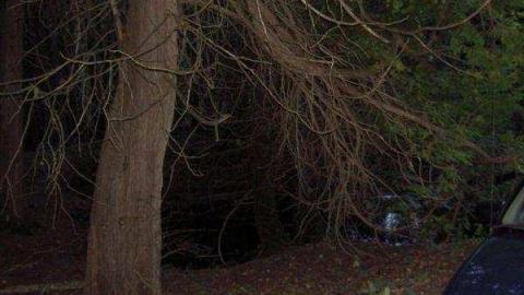 Knoxville (semi-ghost town) photo 4