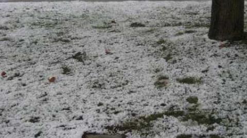 Orma's Gravesite- Port Hope - Monsell-(Orma-Jones-Tragedy)30.jpg