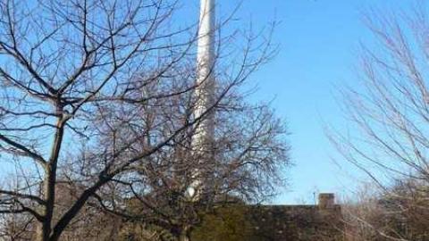 Scadding Cabin photo 3