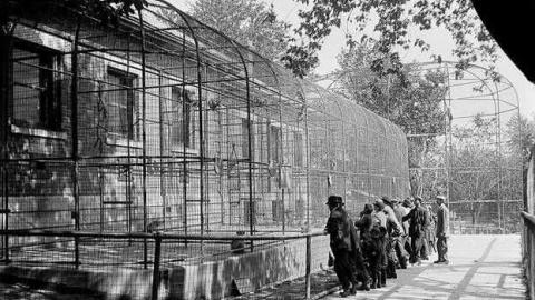 Riverdale Zoo - Riverdale-Farm-(Zoo)7.jpg