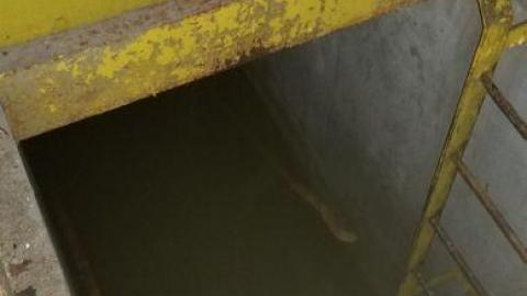 Still fun time. - 20200715_214300N1w.jpg