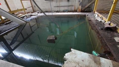 BUDDday - IMG_2451wvQ.jpg