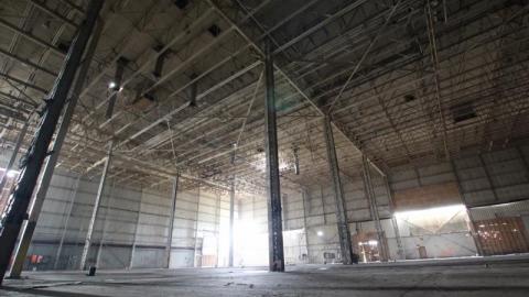 BUDDday - IMG_2460N8K.jpg