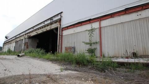 BUDDday - IMG_2466pWK.jpg