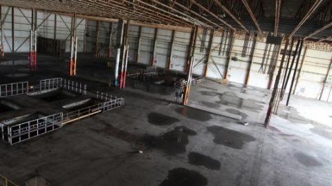 BUDDday - IMG_2473yzM.jpg