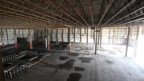 BUDDday - IMG_2474K3O.jpg