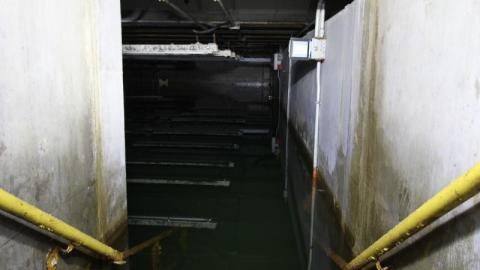 BUDDday - IMG_2477uUK.jpg