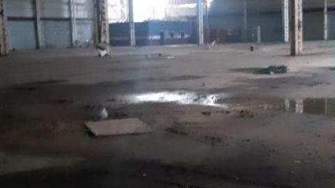 Oh my budd - 20200716_182012QHF.jpg