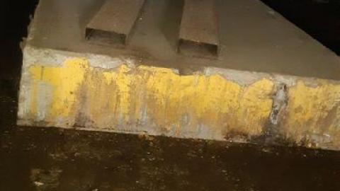 Oh my budd - 20200716_184118C3A.jpg