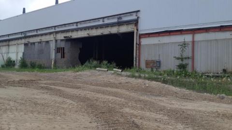 Oh my budd - 20200716_185231YL7.jpg