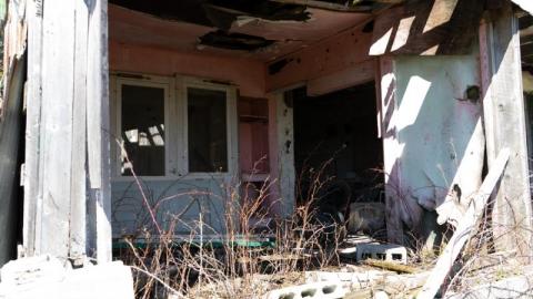 4/4/2020 - DSC06366Jzo.jpg