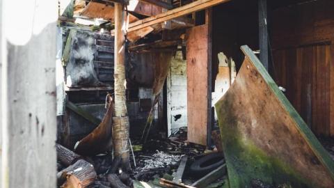 4/4/2020 - DSC06368ibr.jpg