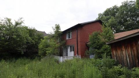 Photo from Almost Gone