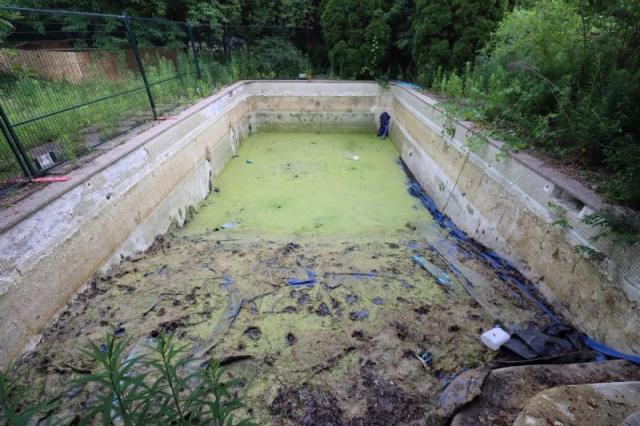 Not Much Left To See photo 4